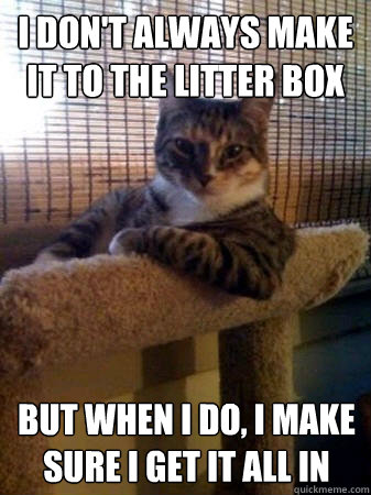 I don't always make it to the litter box but when I do, I make sure i get it all in - I don't always make it to the litter box but when I do, I make sure i get it all in  The Most Interesting Cat in the World