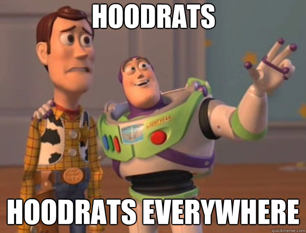 hoodrats hoodrats everywhere  Toy Story