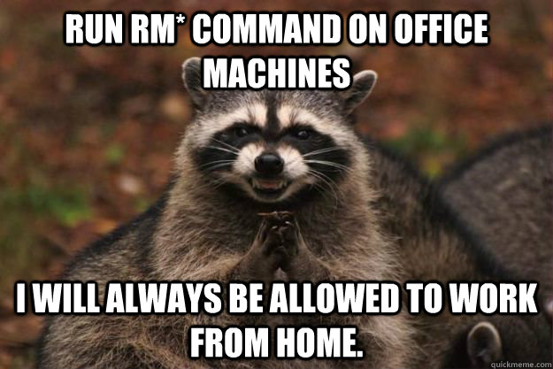 Run RM* command on office machines I will always be allowed to work from home. - Run RM* command on office machines I will always be allowed to work from home.  Evil Plotting Raccoon