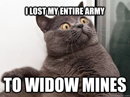 I lost my entire army  to widow mines  conspiracy cat