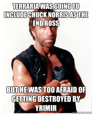 Terraria was going to include Chuck Norris as the end boss But he was too afraid of getting destroyed by Yrimir - Terraria was going to include Chuck Norris as the end boss But he was too afraid of getting destroyed by Yrimir  Chuck Norris