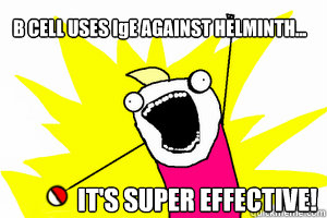 B CELL USES IgE AGAINST HELMINTH... IT'S SUPER EFFECTIVE!  