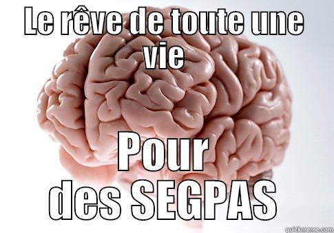 LE RÊVE DE TOUTE UNE VIE POUR DES SEGPAS Scumbag Brain