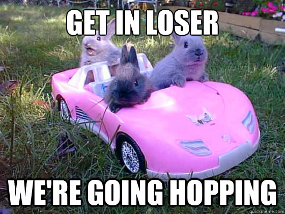 Get in loser we're going hopping - Get in loser we're going hopping  Mean Bunnies