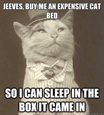 Jeeves, buy me an expensive cat bed So I can sleep in the box it came in  Aristocat