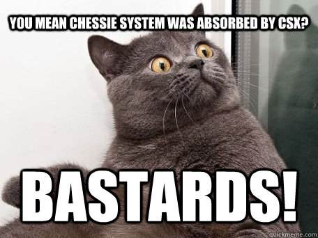 You mean Chessie System was absorbed by CSX?  bastards!  - You mean Chessie System was absorbed by CSX?  bastards!   conspiracy cat