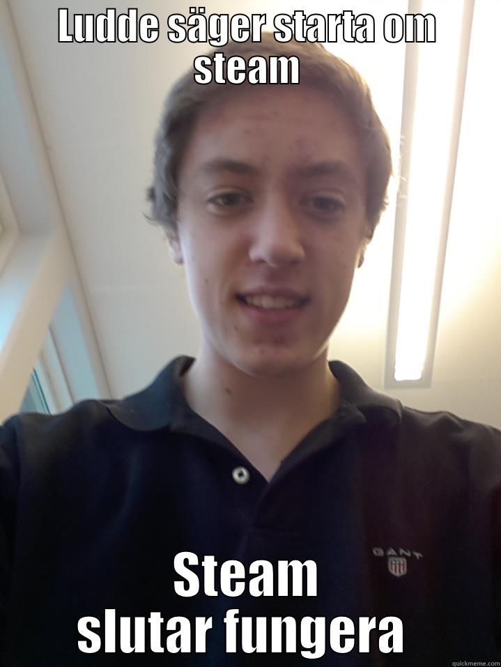 Ludde memes - LUDDE SÄGER STARTA OM STEAM STEAM SLUTAR FUNGERA  Misc