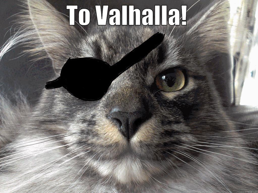 Odin, the cat - TO VALHALLA!  Misc