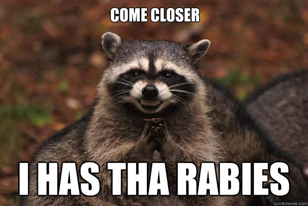 come closer I has tha rabies - come closer I has tha rabies  Evil Plotting Raccoon