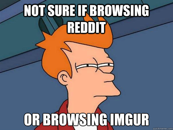 Not sure if browsing reddit Or browsing imgur  Futurama Fry