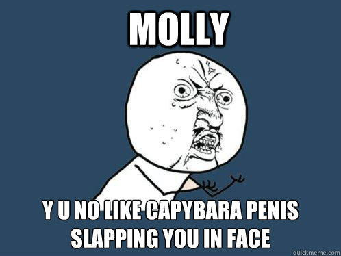 Molly y u no like capybara penis slapping you in face - Molly y u no like capybara penis slapping you in face  Y U No