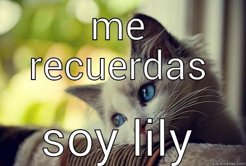 te extraño - ME RECUERDAS SOY LILY First World Problems Cat