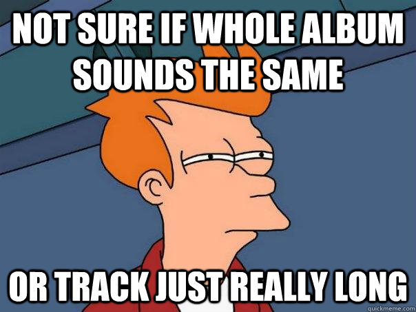 Not sure if whole album sounds the same Or track just really long - Not sure if whole album sounds the same Or track just really long  Futurama Fry