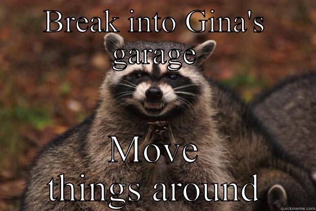 Sly Raccoon - BREAK INTO GINA'S GARAGE MOVE THINGS AROUND Evil Plotting Raccoon