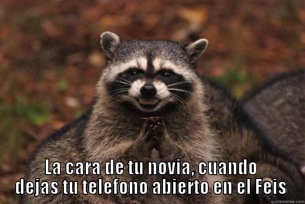  LA CARA DE TU NOVIA, CUANDO DEJAS TU TELEFONO ABIERTO EN EL FEIS Evil Plotting Raccoon