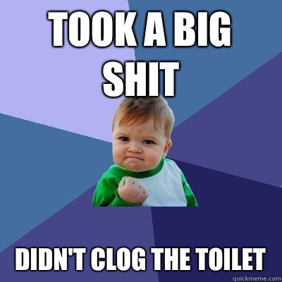 Took a big shit didn't clog the toilet  Success Kid