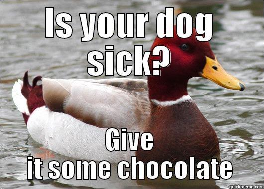 IS YOUR DOG SICK? GIVE IT SOME CHOCOLATE Malicious Advice Mallard