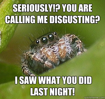 Seriously!? you are calling me disgusting?  I saw what you did last night!   Misunderstood Spider