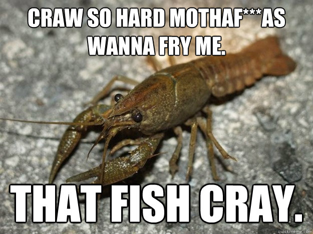 Craw so hard mothaf***as wanna fry me. that fish cray.  that fish cray