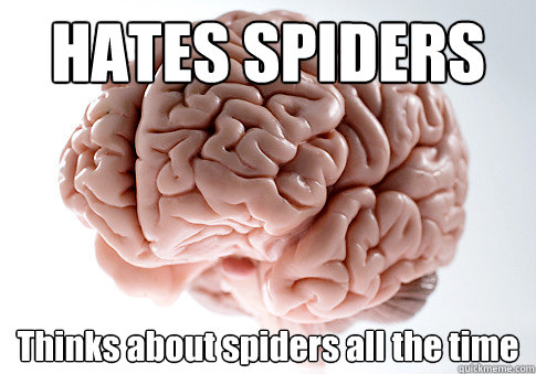 HATES SPIDERS Thinks about spiders all the time   Scumbag Brain