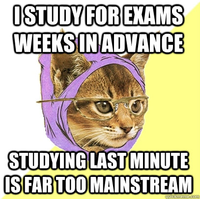 I study for exams weeks in advance Studying last minute is far too mainstream  Hipster Kitty