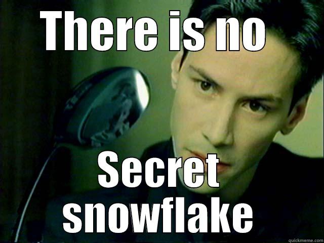 secret snowflake - THERE IS NO  SECRET SNOWFLAKE Misc