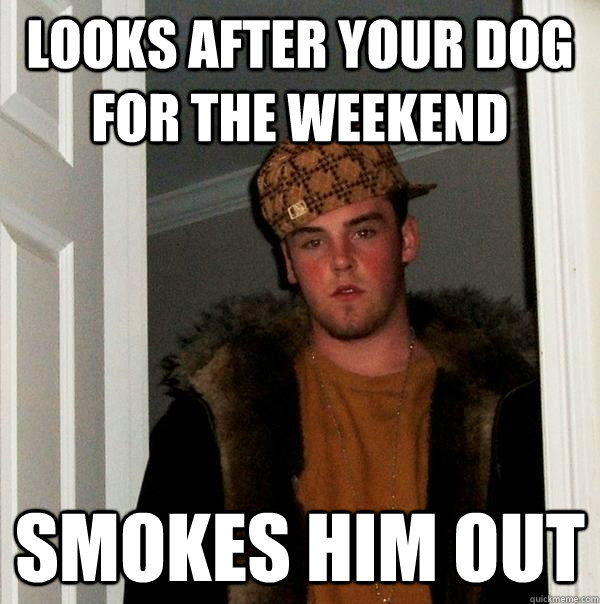 looks after your dog for the weekend smokes him out - looks after your dog for the weekend smokes him out  Scumbag Steve