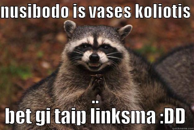 NUSIBODO IS VASES KOLIOTIS  .. BET GI TAIP LINKSMA :DD Evil Plotting Raccoon