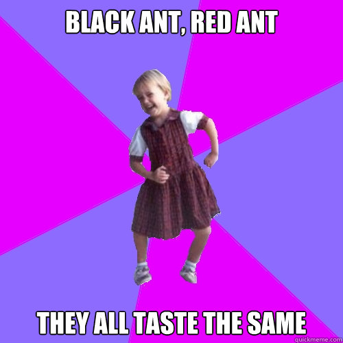 BLACK ANT, RED ANT THEY ALL TASTE THE SAME  Socially awesome kindergartener