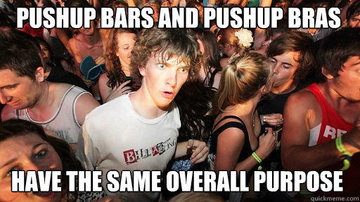 pushup bars and pushup bras
 have the same overall purpose  Sudden Clarity Clarence