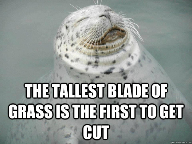 The Tallest Blade of Grass is the First To Get Cut  