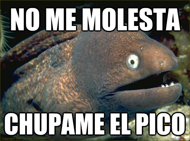 No me molesta chupame el pico - No me molesta chupame el pico  Bad Joke Eel