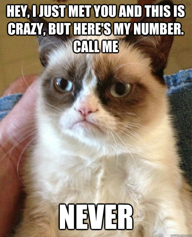 Hey, I just met you and this is crazy, but here's my number.  call me  never  Grumpy Cat