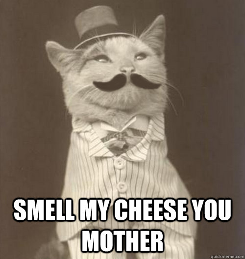  Smell my cheese you mother  Original Business Cat