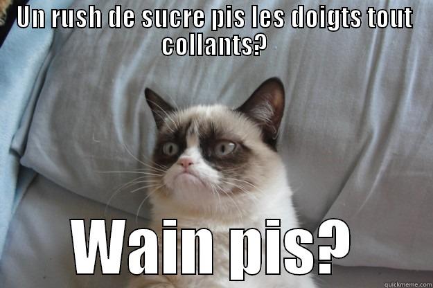 UN RUSH DE SUCRE PIS LES DOIGTS TOUT COLLANTS? WAIN PIS? Grumpy Cat