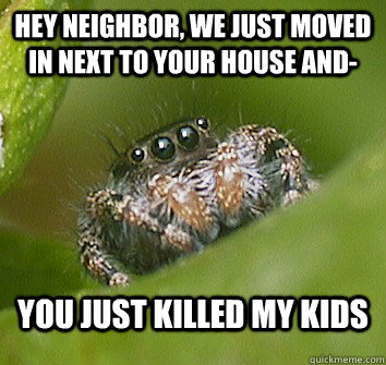 Hey neighbor, we just moved in next to your house and- you just killed my kids  Misunderstood Spider