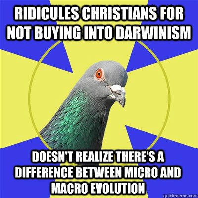 Ridicules Christians for not buying into Darwinism Doesn't realize there's a difference between micro and macro evolution  Religion Pigeon