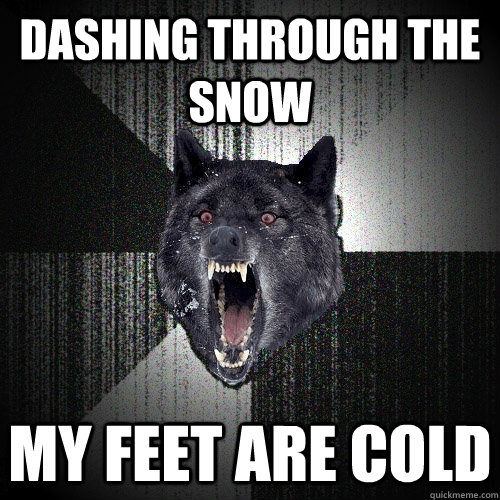 dashing through the snow my feet are cold  Insanity Wolf