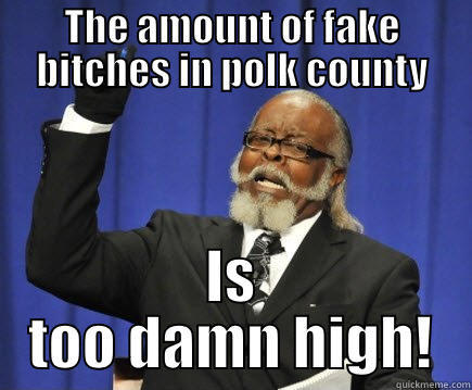 THE AMOUNT OF FAKE BITCHES IN POLK COUNTY IS TOO DAMN HIGH! Too Damn High