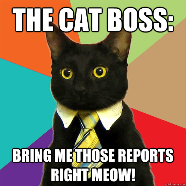 The cat boss: Bring me those reports right MEOW!   Business Cat