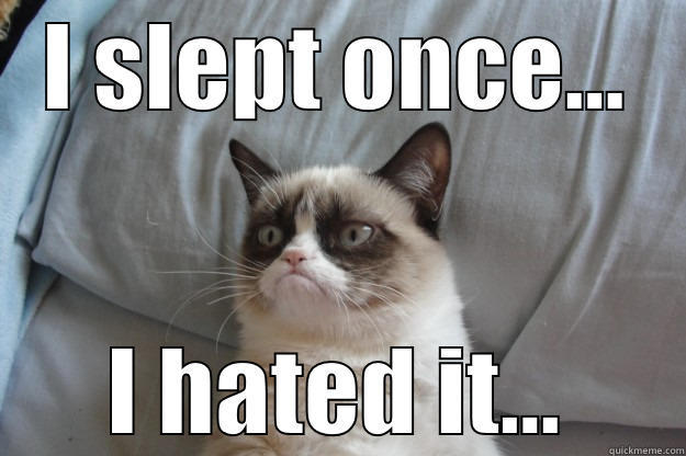 I SLEPT ONCE... I HATED IT... Grumpy Cat