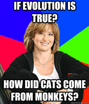 If evolution is true? How did cats come from monkeys?  Sheltering Suburban Mom