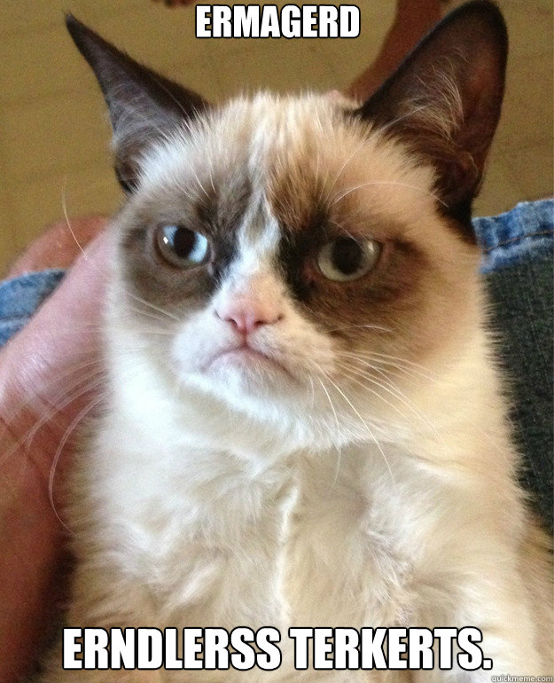 ermagerd erndlerss terkerts.  Grumpy Cat