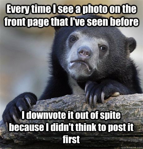 Every time I see a photo on the front page that I've seen before I downvote it out of spite because I didn't think to post it first - Every time I see a photo on the front page that I've seen before I downvote it out of spite because I didn't think to post it first  Confession Bear