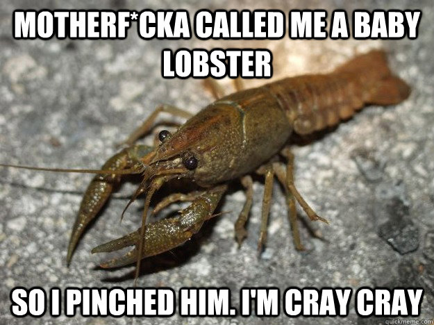 Motherf*cka called me a baby lobster So i pinched him. I'm cray cray  that fish cray