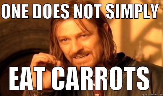 ONE DOES NOT SIMPLY  EAT CARROTS Boromir