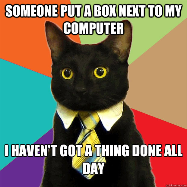 Someone put a box next to my computer I haven't got a thing done all day  Business Cat