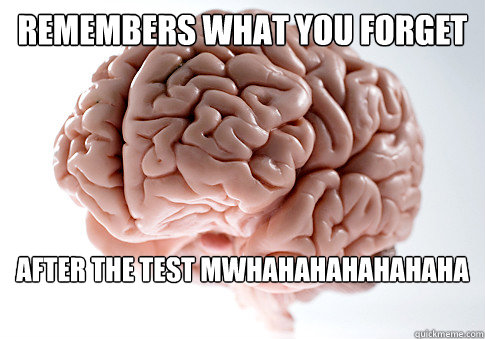 Remembers what you forget AFTER THE TEST MWHAHAHAHAHAHAHA  Scumbag Brain