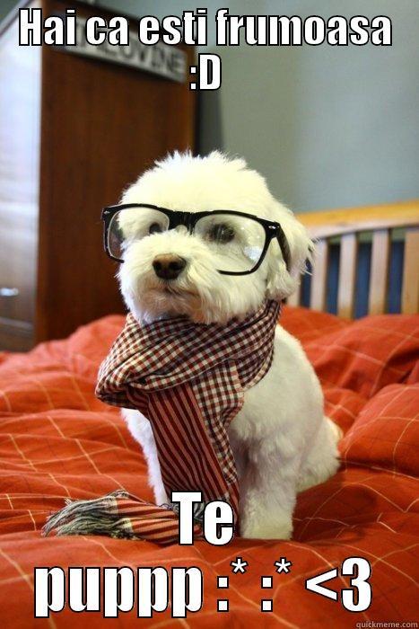 Hai ca esti frumoasa - HAI CA ESTI FRUMOASA :D TE PUPPP :* :* <3 Hipster Dog