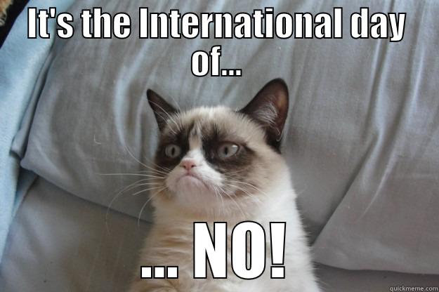 IT'S THE INTERNATIONAL DAY OF... ... NO! Grumpy Cat